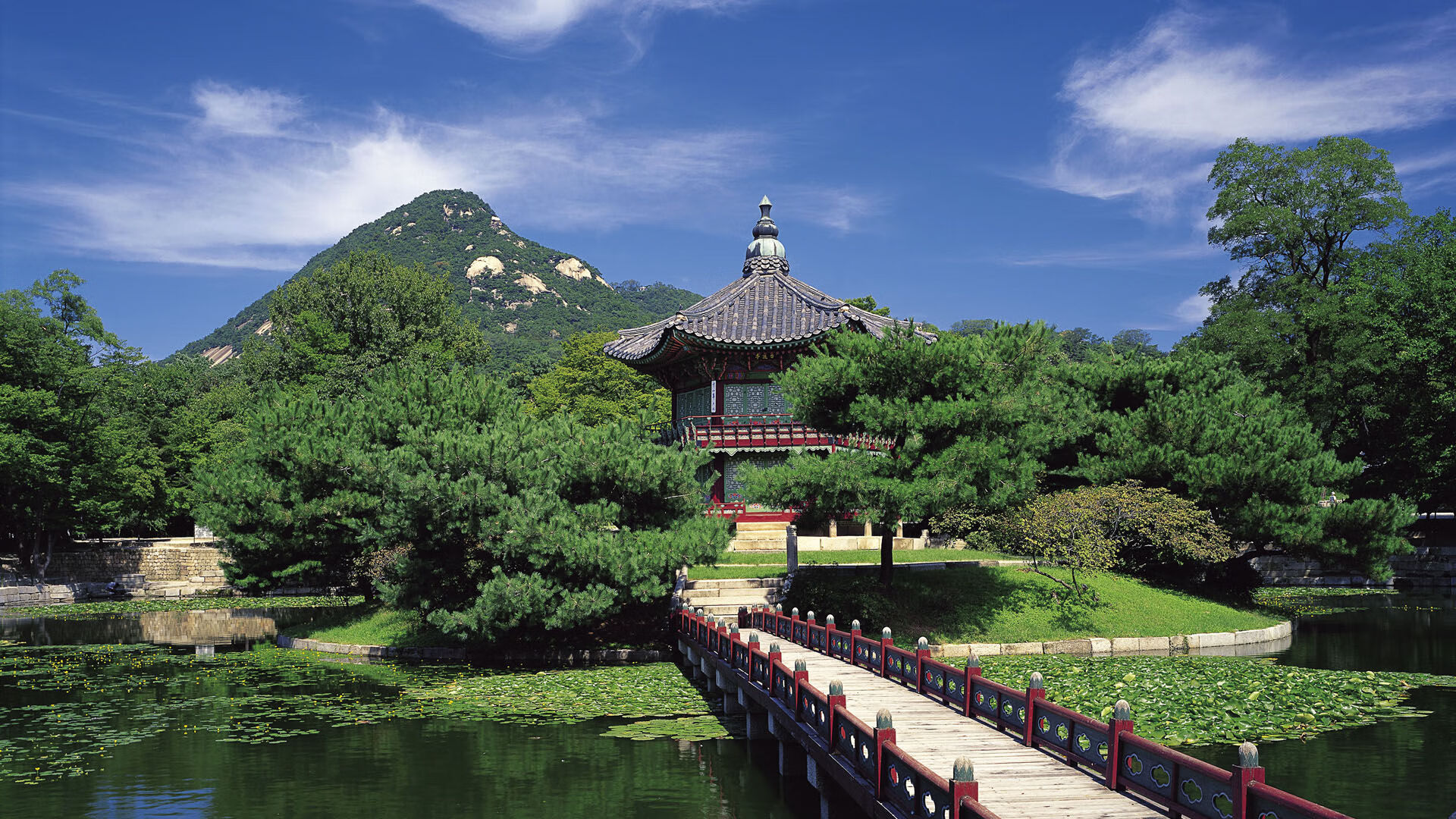 体测调整方案因地制宜保障公平，体测是否合理