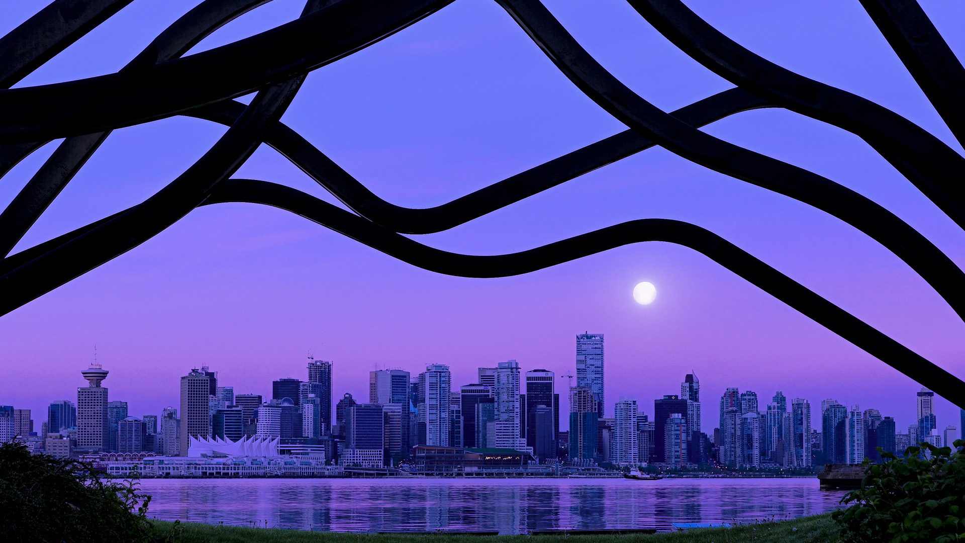 熊猫体育在线登录-卡特：全黑队核心球员，屡屡在关键时刻挺身而出，卡特让出全明星首发