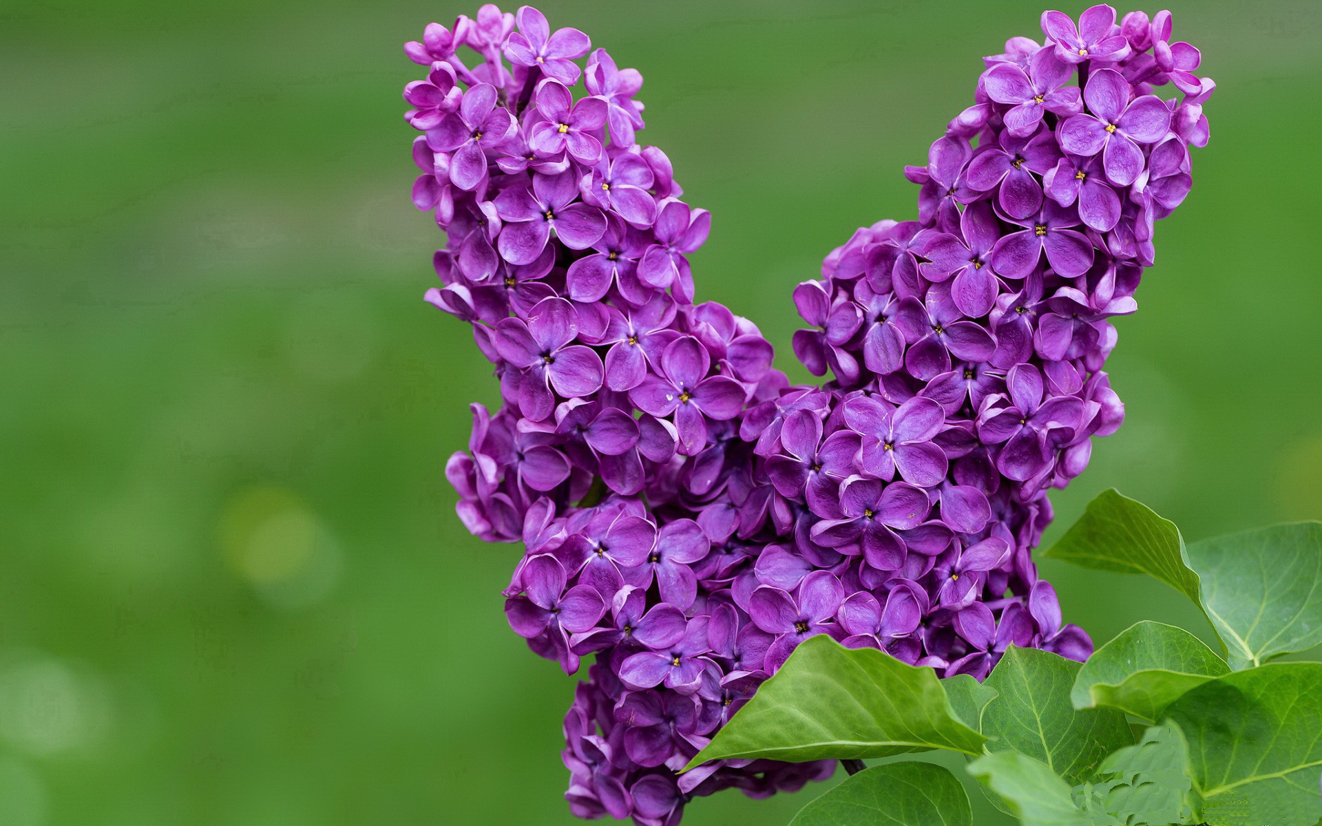 女足青训营逐步推行分层管理实现按需定制训练，女足精英训练营